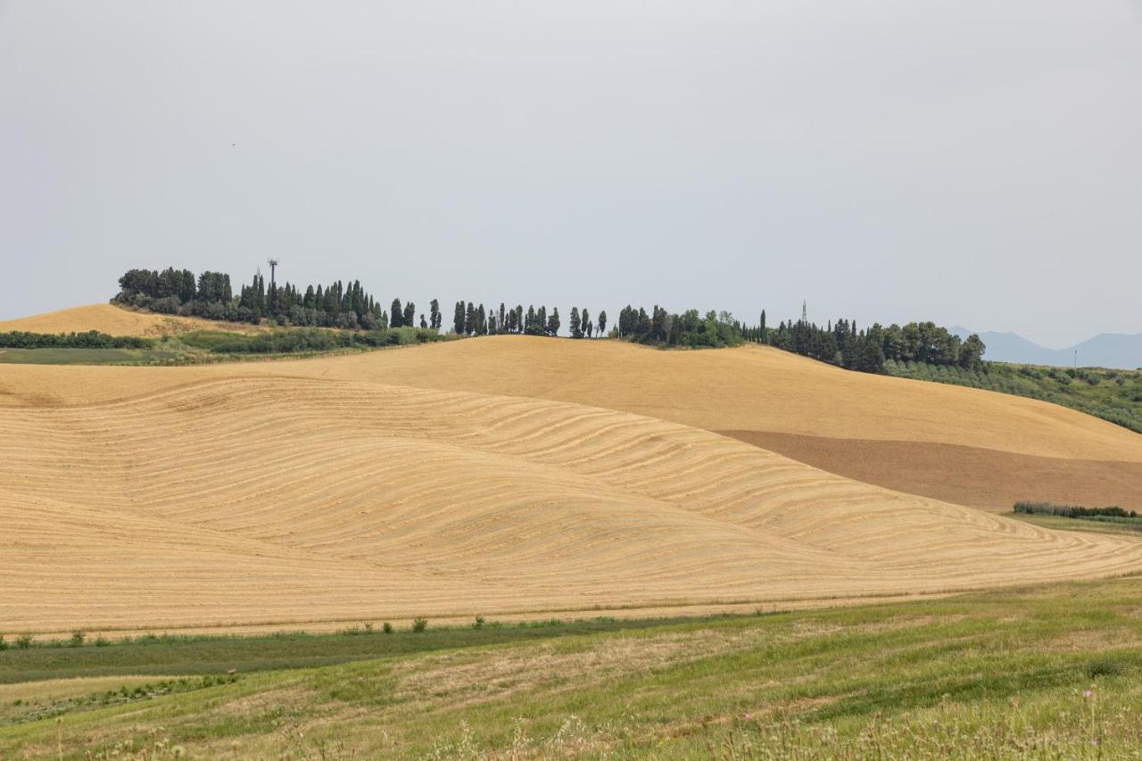 Agriturismo La Valle Della Lavanda - Podere Mezzastrada Fauglia Bagian luar foto