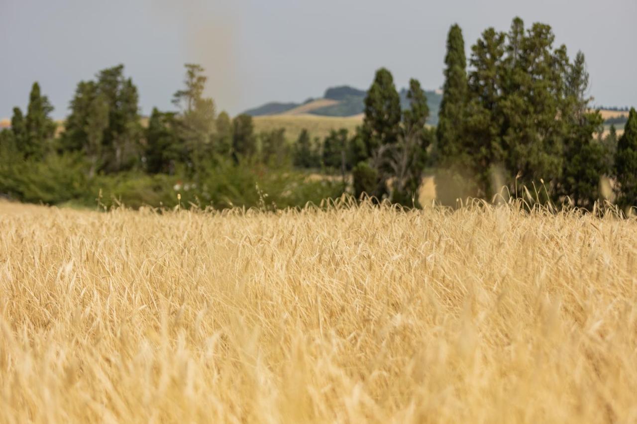 Agriturismo La Valle Della Lavanda - Podere Mezzastrada Fauglia Bagian luar foto