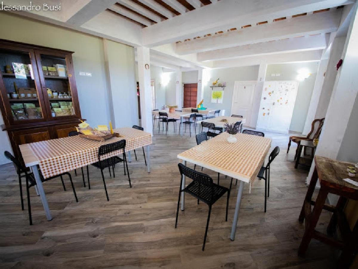 Agriturismo La Valle Della Lavanda - Podere Mezzastrada Fauglia Bagian luar foto