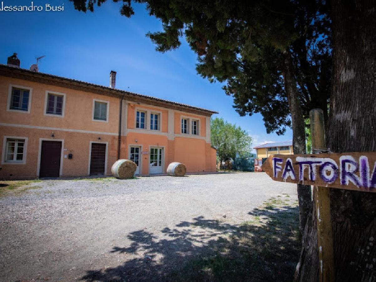 Agriturismo La Valle Della Lavanda - Podere Mezzastrada Fauglia Bagian luar foto